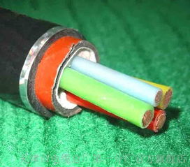 rs 485通訊電纜國標(biāo)廠家 rs 485通訊電纜國標(biāo)廠家